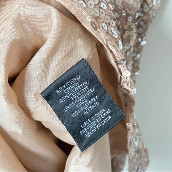 Jill Jill Stuart Champagne Sequin Dress - Picture 7 of 9